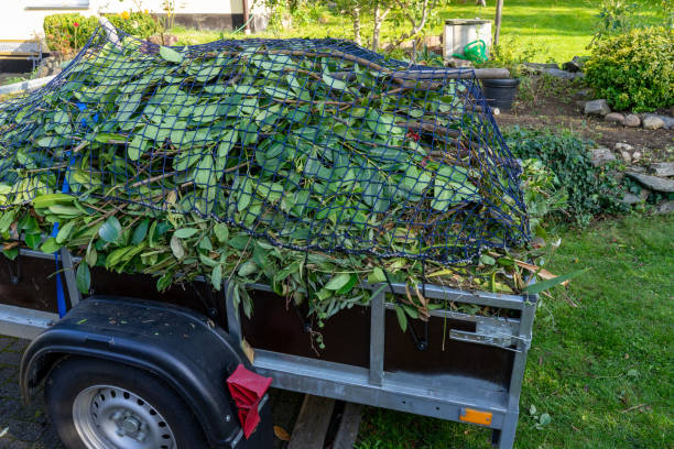 Best Recycling Services for Junk  in West Chatham, MA